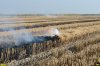Как на Кубани выжигают рисовую солому