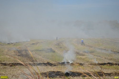 Как на Кубани выжигают рисовую солому