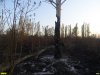 Пожар на Большом острове в Краснодаре
