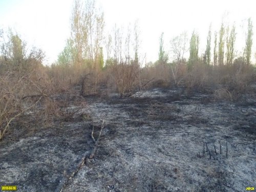 Пожар на Большом острове в Краснодаре