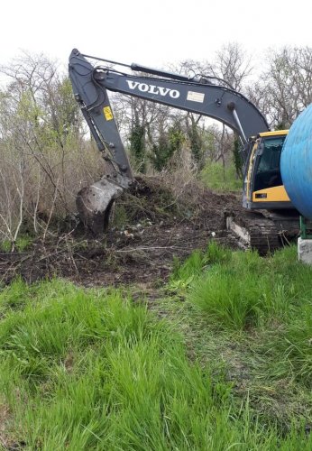 Застройщик Карманов начал незаконное уничтожение деревьев на арендованном участке на Тонком мысе