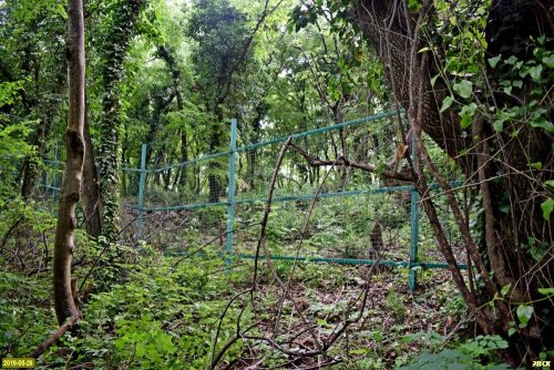 Криница, проход в лес закрыт забором компании ООО "Эксим-М"