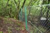 Застройка леса в квартале 169А Пшадского лесничества (с.Криница, Геленджик)