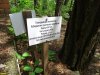База отдыха "Океан" незаконно огородила и застроила арендованный участок лесного фонда в Джанхоте