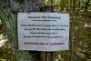 Информационный стенд на участке лесного фонда возле Калужского озера, арендованном ООО "Глэйд"