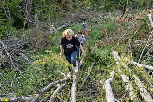 Активисты ЭВСК продираются сквозь завалы леса, вырубленного под "Лермонтов сад"