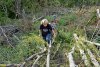 Активисты ЭВСК продираются сквозь завалы леса, вырубленного под "Лермонтов сад"