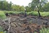 Уничтожение леса под "Лермонтов сад": пепелище на месте сжигания вырубленных деревьев