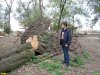 Общественная инспекция уничтожения леса на Зелёном острове в Краснодаре