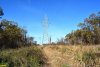Древний лес Хлибизи рассекла огромная просека под ЛЭП