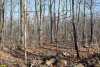 Лесной фонд вокруг динской "дачи" депутата Ремезкова в селе Красносельском огорожен забором