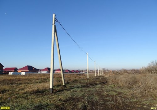 Красносельское. Здесь ещё недавно рос лес