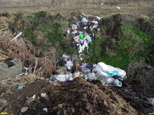 Свежий мусор на "рекультивированной" Успенской свалке (Белоглинский район)