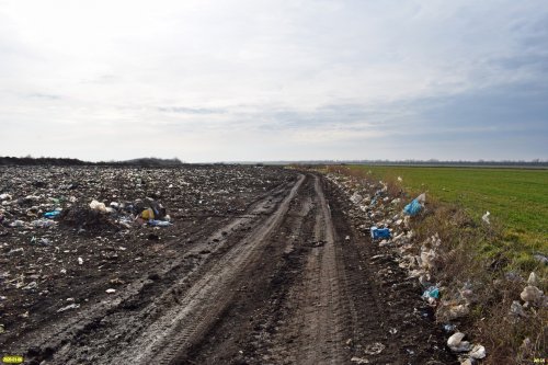 Свежий мусор с "рекультивированной" Успенской свалки разносится по окрестным полям 