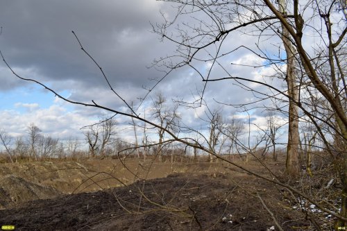 Белореченск. Здесь еще недавно высился девственный пойменный лес, уничтоженный в целях добычи песчано-гравийной смеси