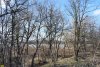 Киргизские плавни, река Кубань (мрн Гидростроителей, Краснодар)