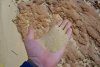 Инспекция нелегального карьера по добыче песка в районе пос.Черноморского (Северский район)
