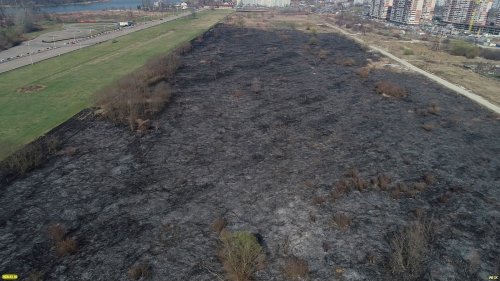 Последствия пожара возле турбодрома "Белая стрела" (Краснодар)