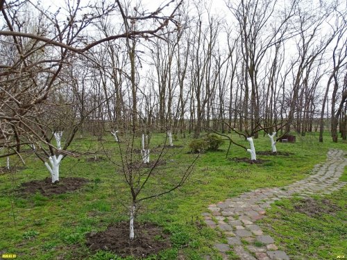 Захват земель лесного фонда в х.Ленина (Краснодар)