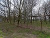 Забор на захваченной части лесного фонда в х.Ленина (Краснодар)
