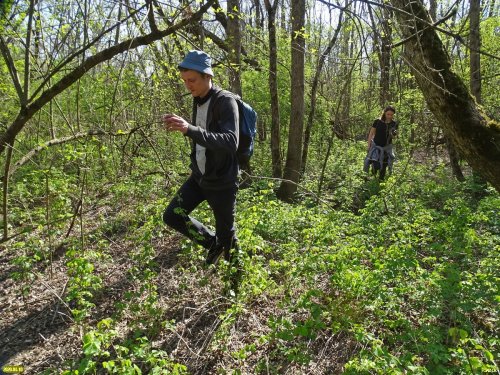 Активисты ЭВСК на инспекции в Белореченском лесу