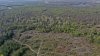 Массовая вырубка в целях расчистки земли под новый карьер внедрилась вглубь Белореченского леса