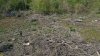 Белореченский лес: последствия массовой вырубки в целях добычи песчано-гравийной смеси
