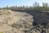 Разработка Северного месторождения ПГС в Белореченском районе привела к уничтожению произраставшего здесь леса