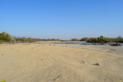 Песчаная пойма реки Белой (Белореченский район)
