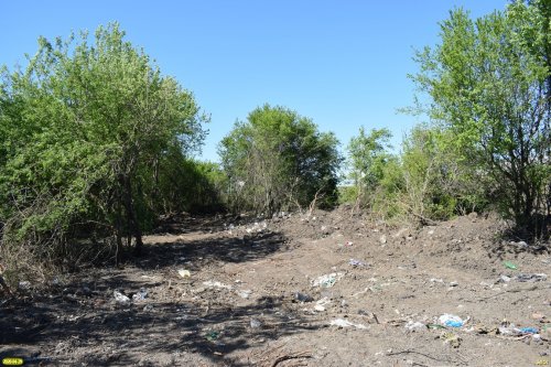 Навалы мусора в близлежащей к Северской свалке лесополосе после вмешательства ЭВСК были убраны