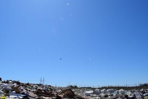 Над плохо огороженной Северской районной свалкой "порхают" пластиковые пакеты