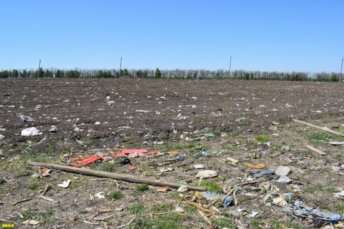 Соседнее с Северской свалкой поле усеяно мусором