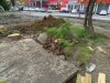 Реализация проекта "Комфортная городская среда" во дворе дома на Ворошилова, 1 в Апшеронске не щадит и здоровые деревья