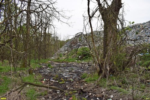Ядовитая "река" с Апшеронской свалки убивает окружающий лес