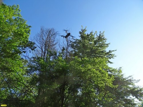 "Зелёное око" квадрокоптера над лесом в Горячеключевском заказнике