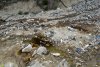 Ядовитый фильтрат со свалки в Лермонтово стекает в ручей
