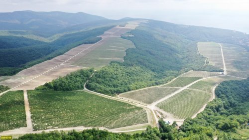 Урочище Верхний Каук с трёх сторон окружено виноградниками компании "Апекс-Юг"