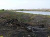 Незаконные вырубки на участках в прибрежной зоне реки Понура рядом с ДНТ "Миловидово"