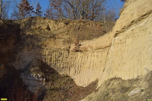 "Стена" ракушечника в закрытом карьере (Северский район)