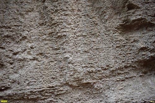 "Стена" ракушечника в закрытом карьере (Северский район)