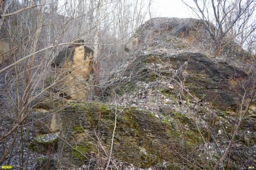 Бывший ракушечниковый карьер зарастает лесом и приобретает сказочные черты