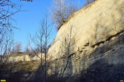 "Стена" ракушечника в закрытом карьере (Северский район)