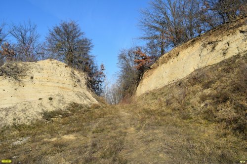 Закрытый ракушечниковый карьер в районе п.Октябрьский