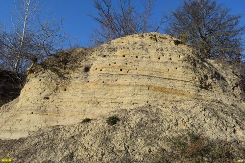 Ракушечниковые "скалы" на бывшем карьере становятся домом для птиц