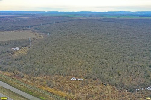 Лес Афипсип, вид сверху с севера на юг