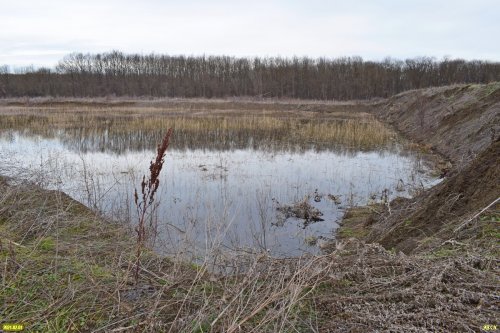 Рукотворное озеро с южной стороны леса Афипсип