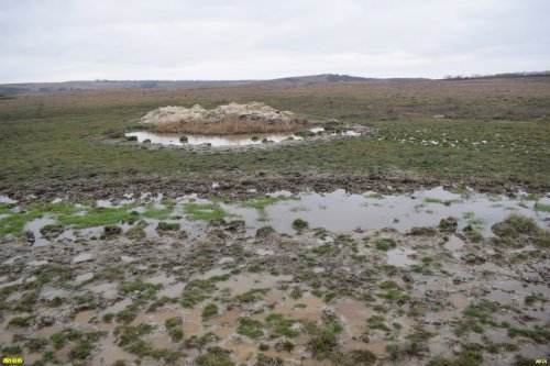 Выходы грязи в долине реки Чекупс (Крымский район)
