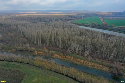 Лиман Куркуй, лес Куркуй, Варнавинский сбросной канал, урочище Раздорны