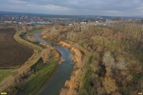 Лиман Куркуй, лес Куркуй, станица Варениковская (Крымский район)