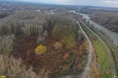 Станица Варениковская, лес Куркуй, Варнавинский сбросной канал